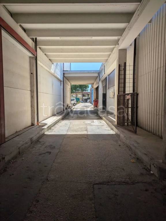 immagine annuncio 3 di 7