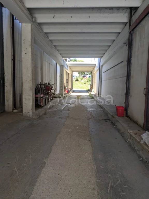 immagine annuncio 4 di 7