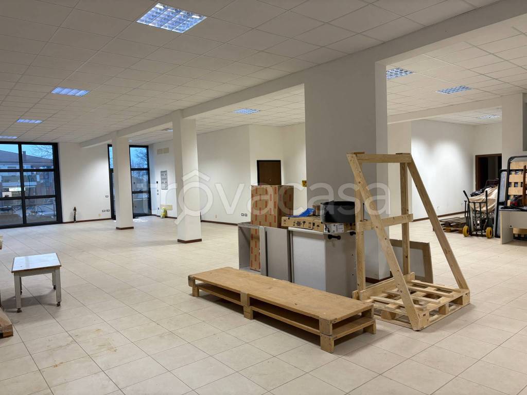 immagine annuncio 4 di 7