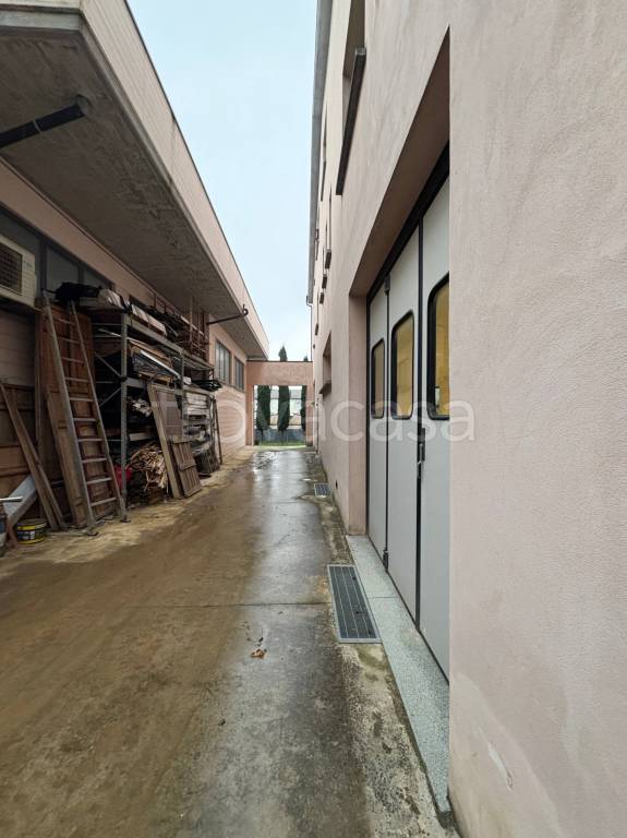 immagine annuncio 6 di 7
