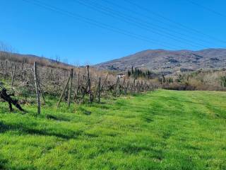 Terreno agricolo in vendita a rignano sull'arno 