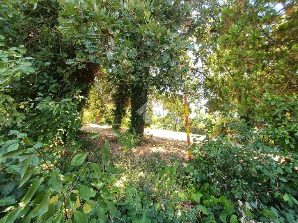 immagine annuncio 7 di 8
