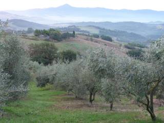 Terreno agricolo in vendita a guardistallo strada provinciale del poggetto