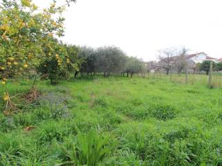 Terreno agricolo in vendita a caserta vicolo taverna, 4