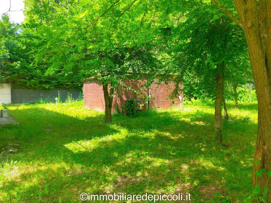 immagine annuncio 4 di 11