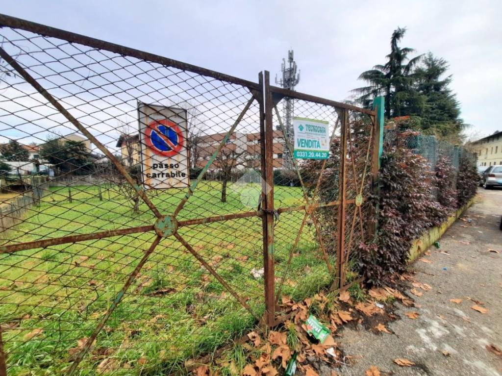 immagine annuncio 1 di 10