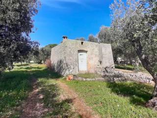 Terreno agricolo in vendita a ostuni contrada cervarolo