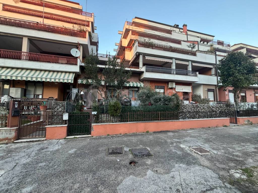 immagine annuncio 1 di 13