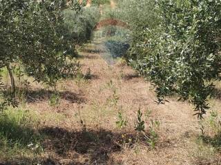 Terreno residenziale in vendita a caltagirone via balsamo