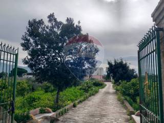 Terreno agricolo in affitto a partinico contrada piano di re