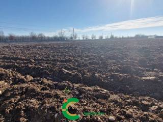 Terreno agricolo in vendita a castelfranco veneto 