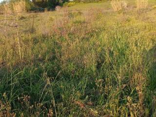 Terreno agricolo in vendita a donori strada comunale di trexenta