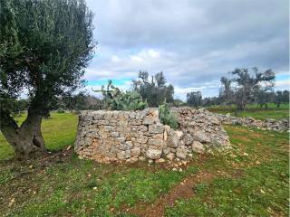 Terreno residenziale in vendita a carovigno 