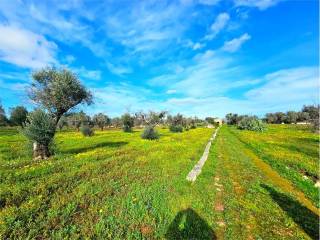 Terreno residenziale in vendita a san vito dei normanni 