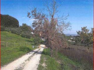 Terreno agricolo all'asta a perugia strada marscianese