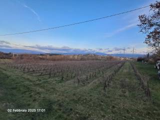 Terreno agricolo in vendita ad arezzo località poggiola, 1