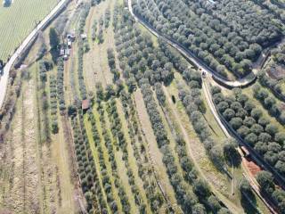 Terreno agricolo in vendita a verona 