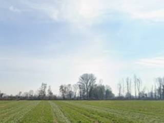 Terreno agricolo all'asta a gottolengo via pralboino, snc