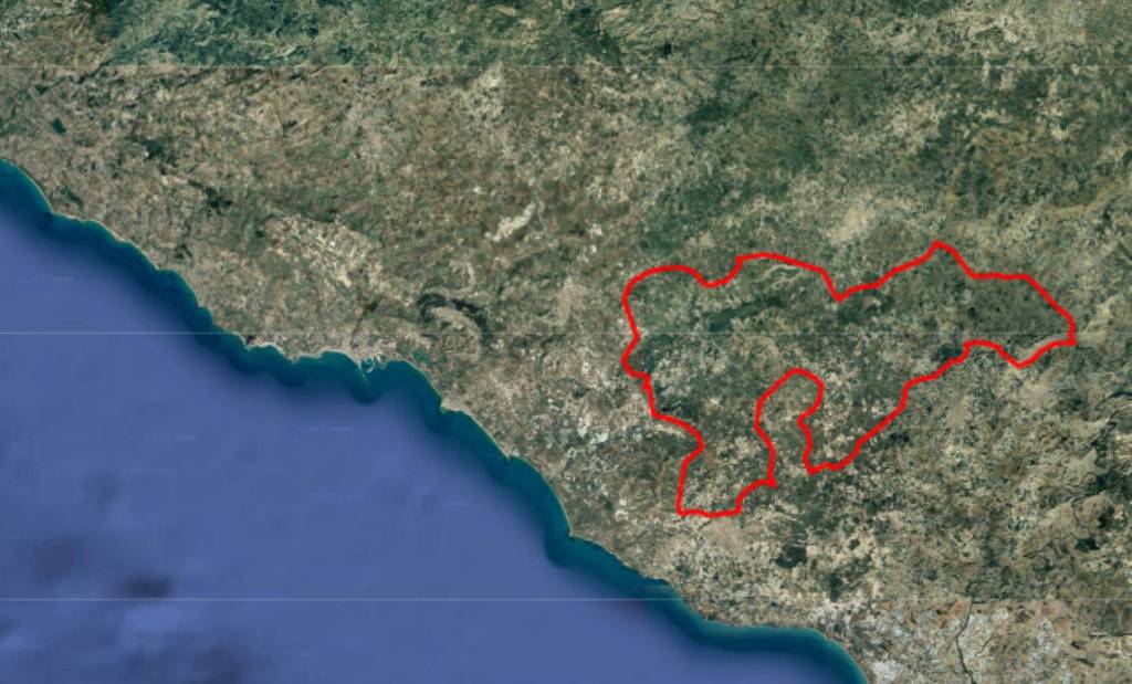 immagine annuncio 4 di 9
