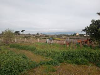 Terreno agricolo in vendita a velletri via colle san clemente