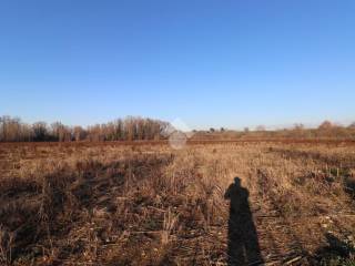 Terreno agricolo in vendita a marmirolo via unione europea, 22