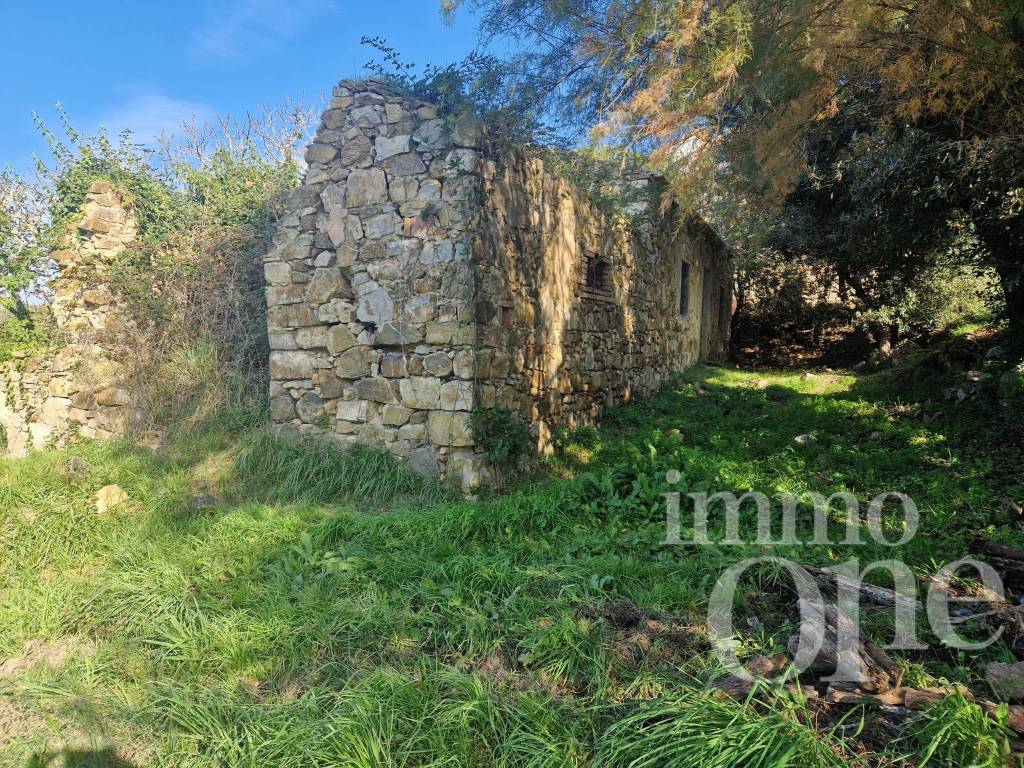 immagine annuncio 7 di 11