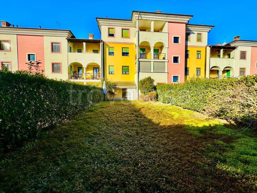 immagine annuncio 8 di 15