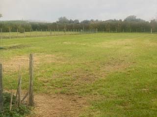 Terreno agricolo in vendita a imola 