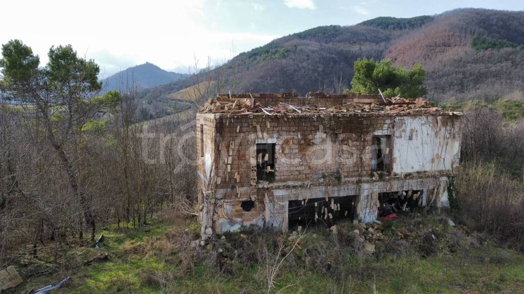 immagine annuncio 2 di 13
