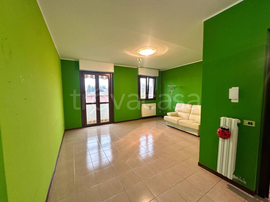 immagine annuncio 5 di 15