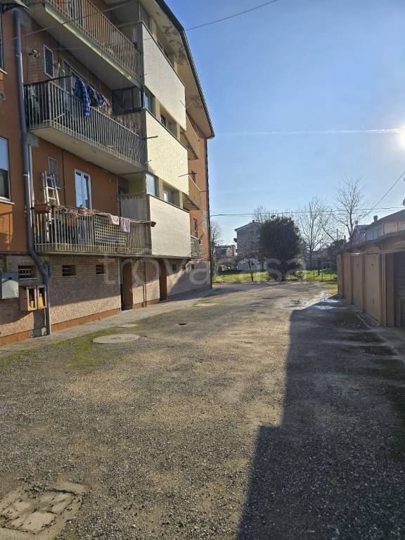 immagine annuncio 1 di 12