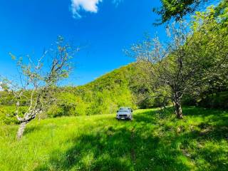 Terreno agricolo in vendita a villafranca in lunigiana via 25 aprile, 20