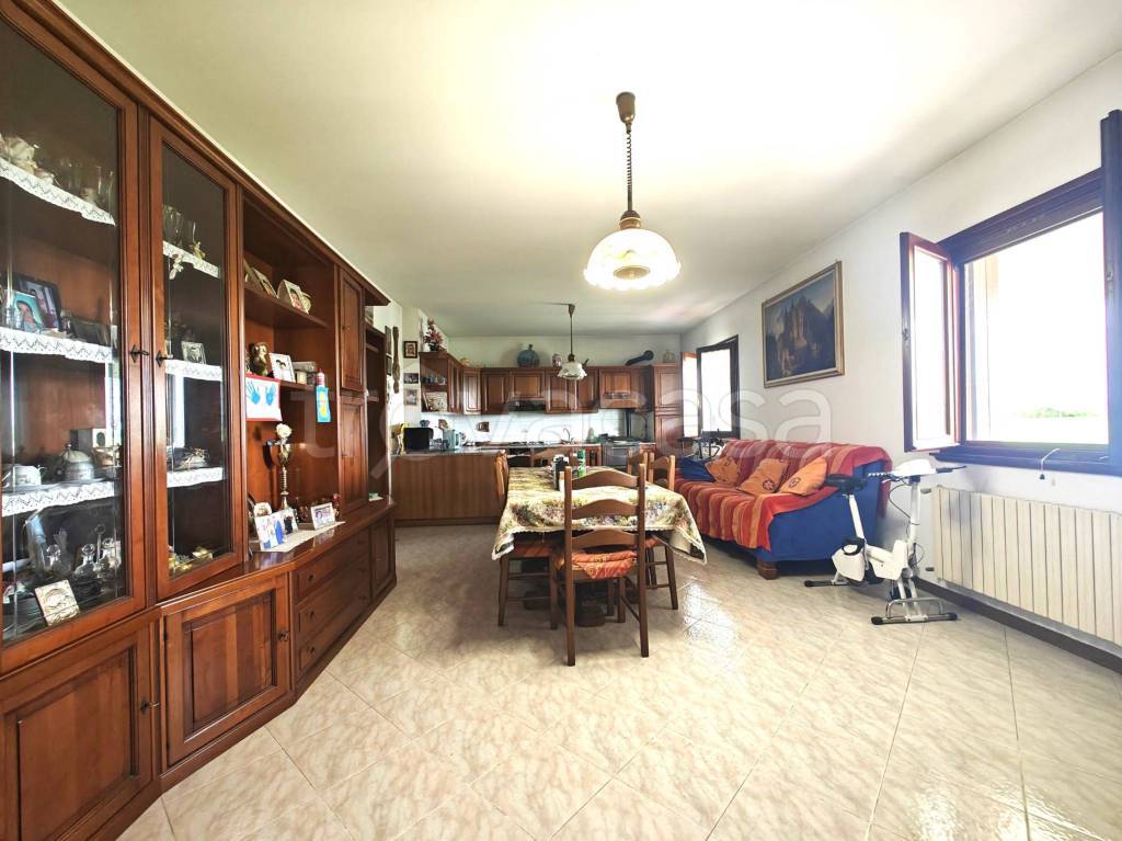 immagine annuncio 2 di 14