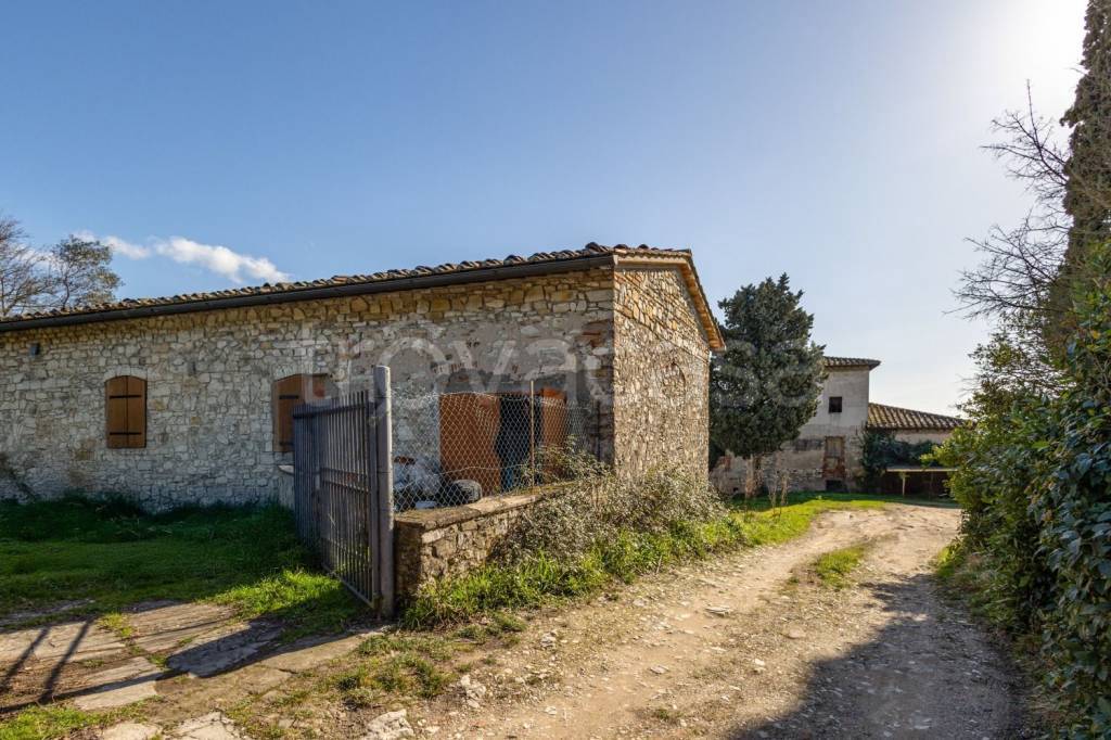 immagine annuncio 6 di 14
