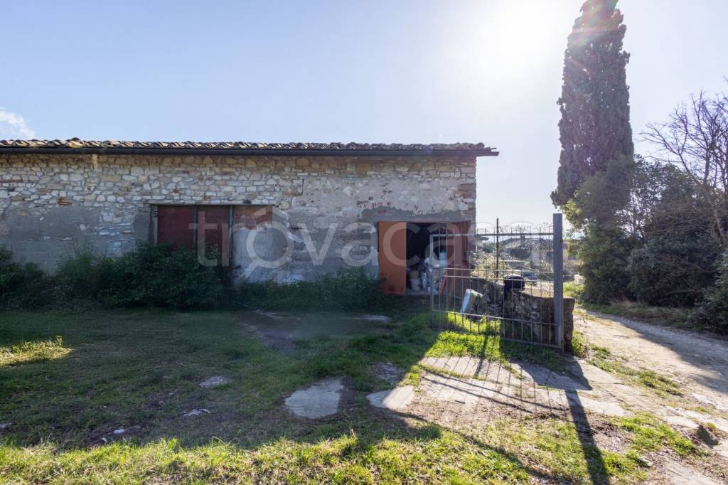 immagine annuncio 10 di 14