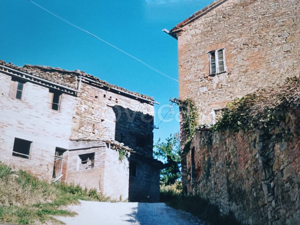 immagine annuncio 2 di 3