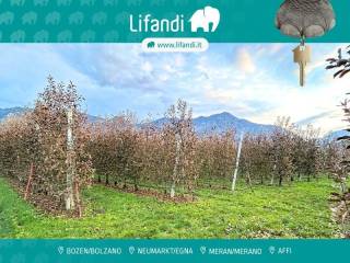 Terreno agricolo in vendita a caldonazzo 