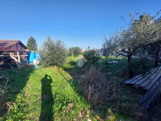 Terreno agricolo in affitto a marano di napoli via san rocco, 359