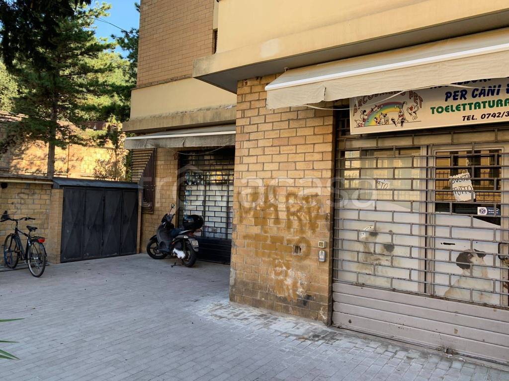 immagine annuncio 1 di 6