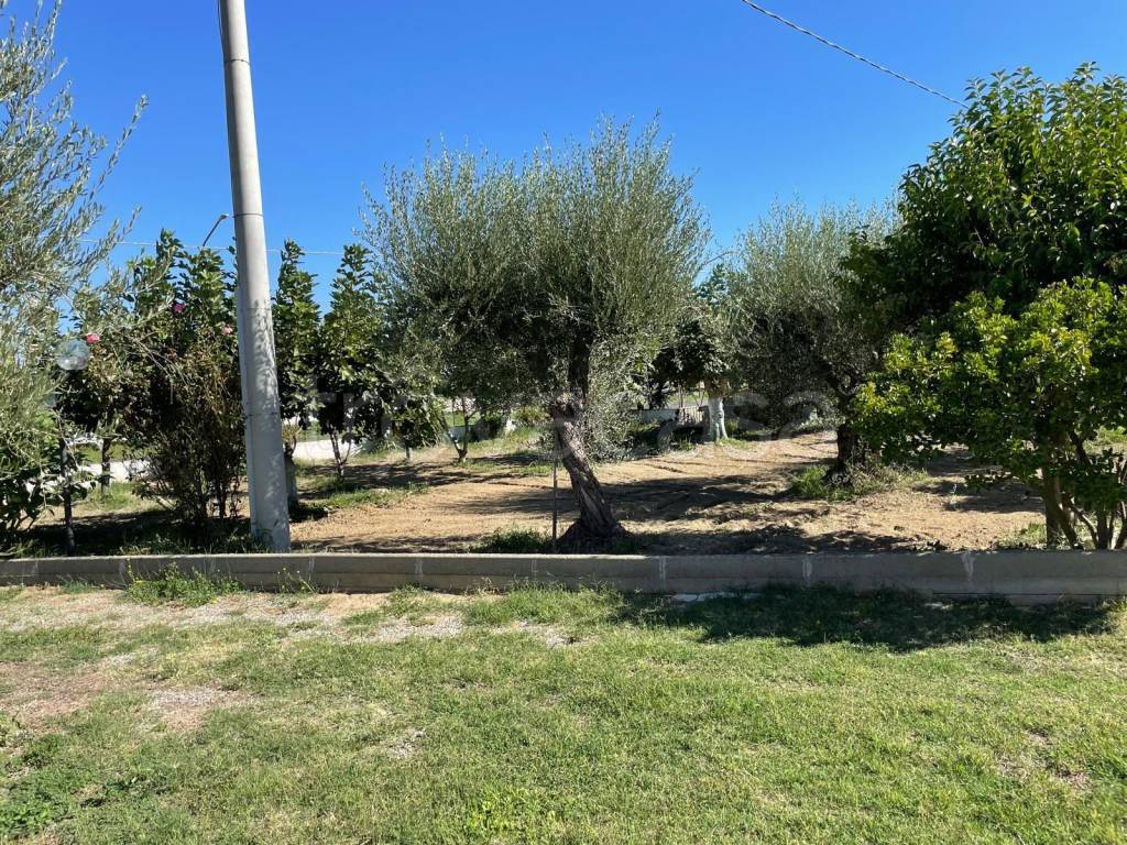 immagine annuncio 1 di 12