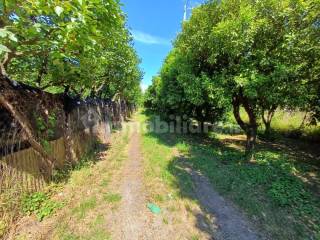 Terreno agricolo in vendita a pagani via mannara