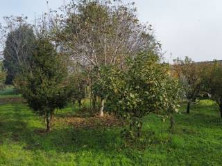 Terreno agricolo in vendita a vignola via modenese, 1904