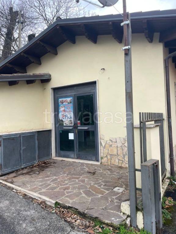 immagine annuncio 11 di 12
