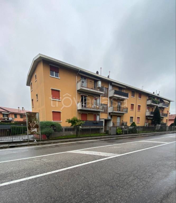 immagine annuncio 9 di 11