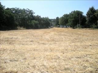 Terreno residenziale in vendita a colli al metauro via dei gelsi