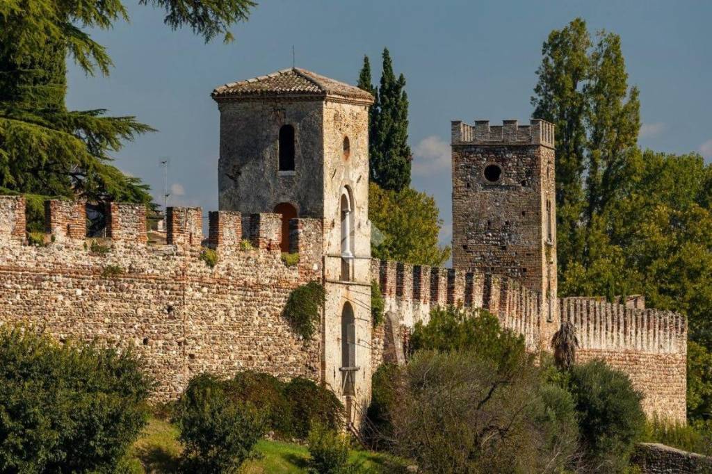 immagine annuncio 4 di 7