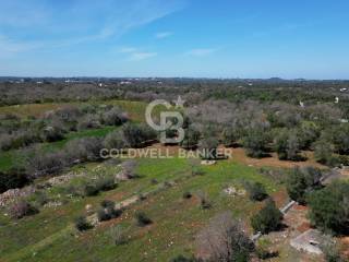 Terreno agricolo in vendita a ostuni contrada montelotorto, sn