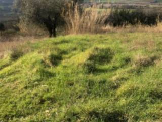 Terreno residenziale all'asta a gradara via san savino