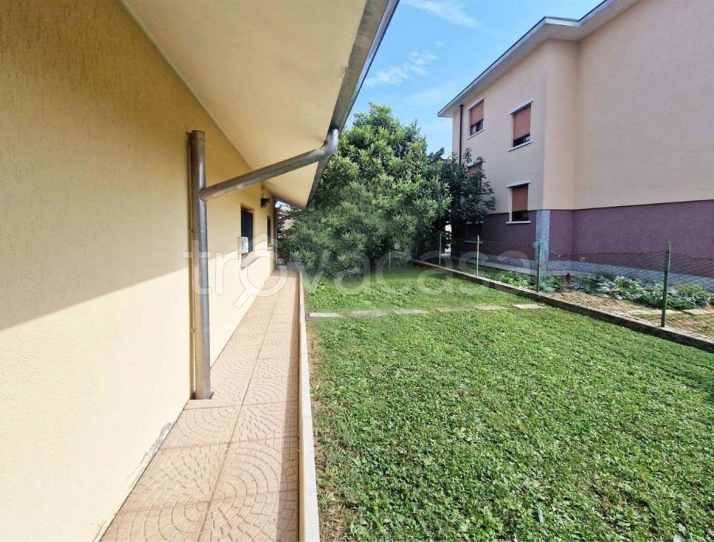 immagine annuncio 5 di 11