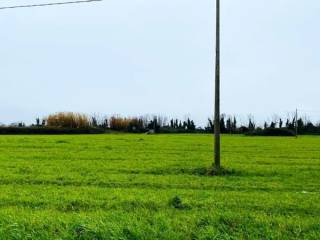 Terreno agricolo in vendita a giugliano in campania via vicinale paglietta